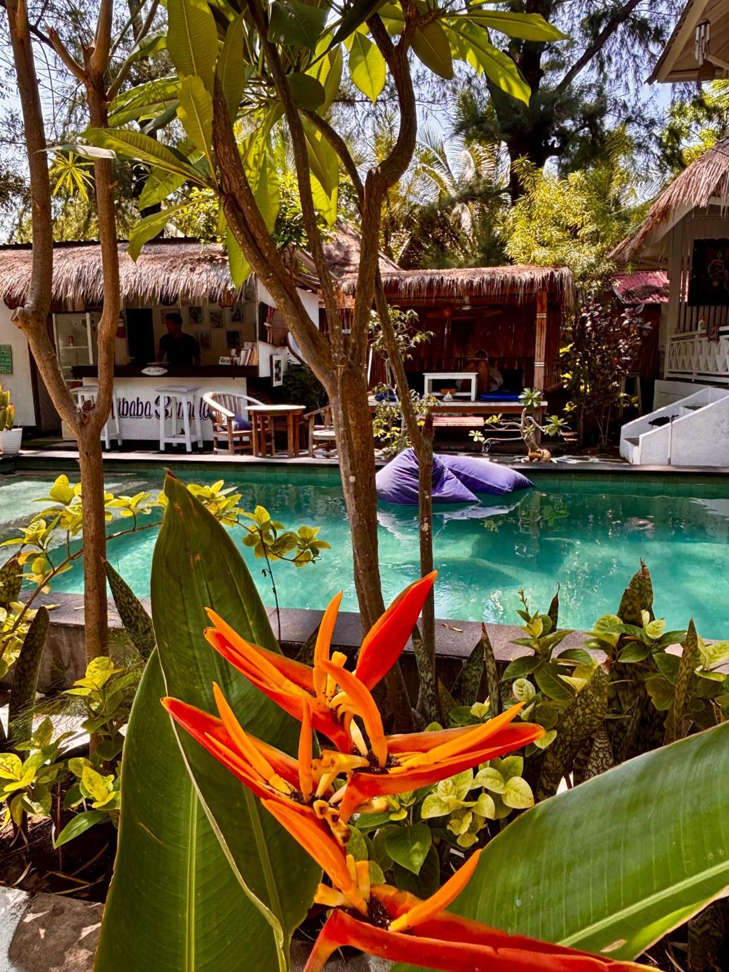 Alibaba Bungalows Гили-Эйр Экстерьер фото